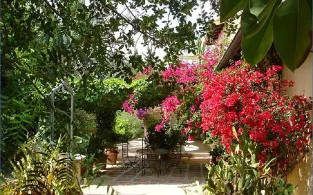 Finca Son Flor