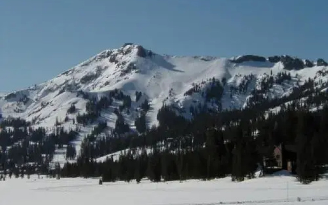 Sun Meadows 3-202