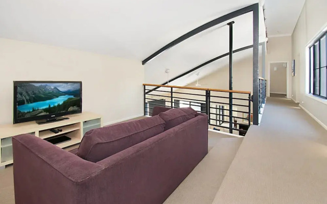 Pandanus - Lennox Head