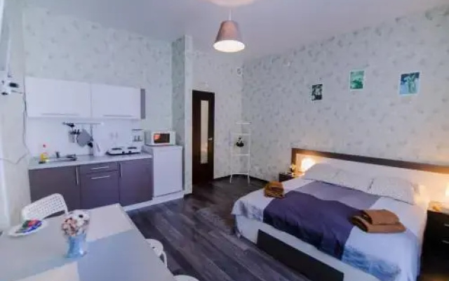 Apartment Izhorskogo Bataliona 57A