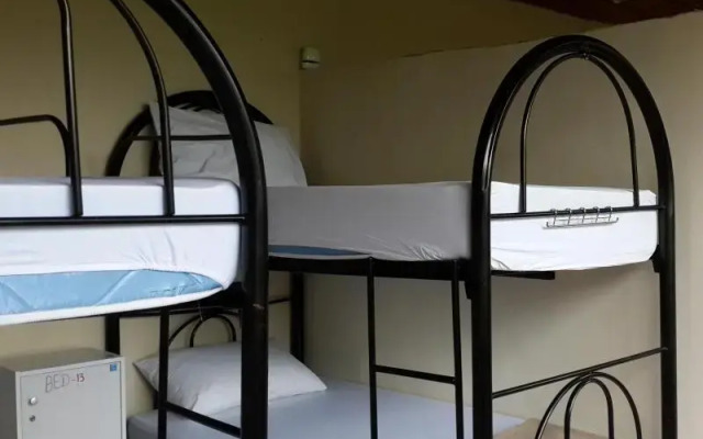 Lazy House