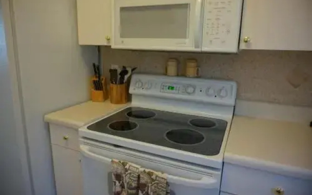 Purple Parrot 34CU - 1 Br Condo