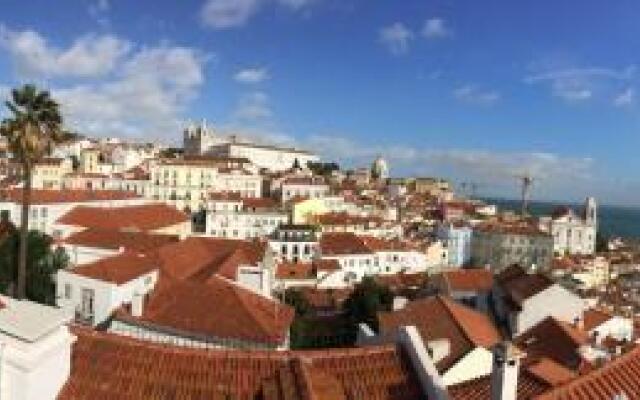 Alfama's nest