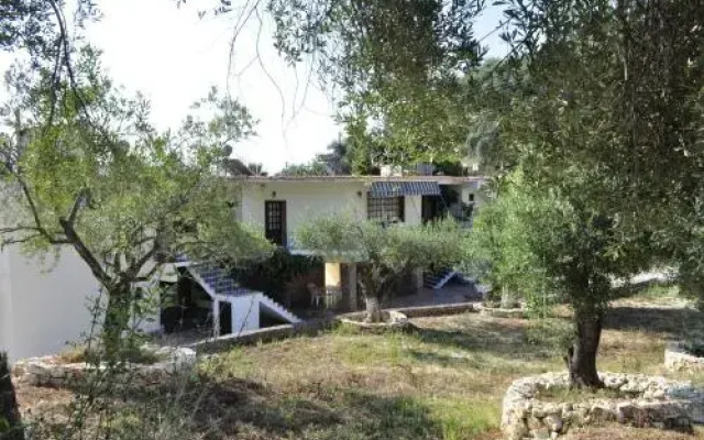 Fountas Studios