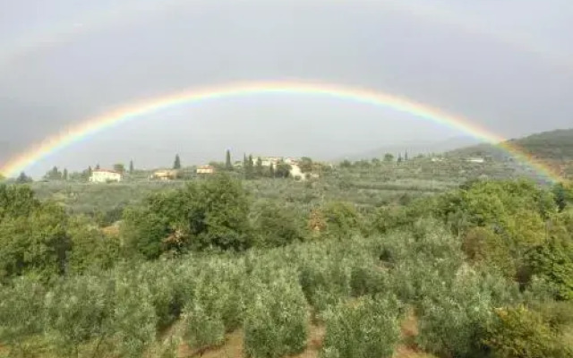 Casa Dei Sogni, Stefano