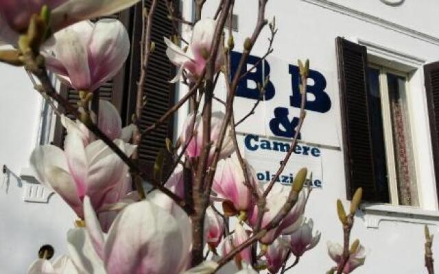 White Lady Bed and Breakfast