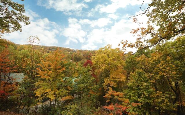 Above It All  446 - Four Bedroom Cabin