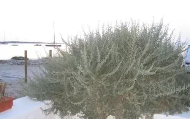 Casita Del Puerto Formentera Passport