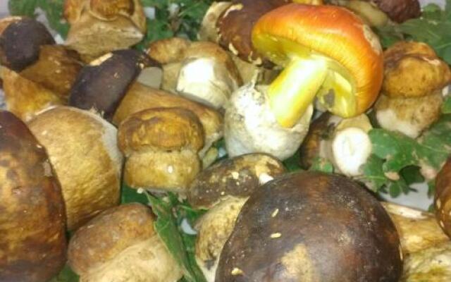 Salisù Country House