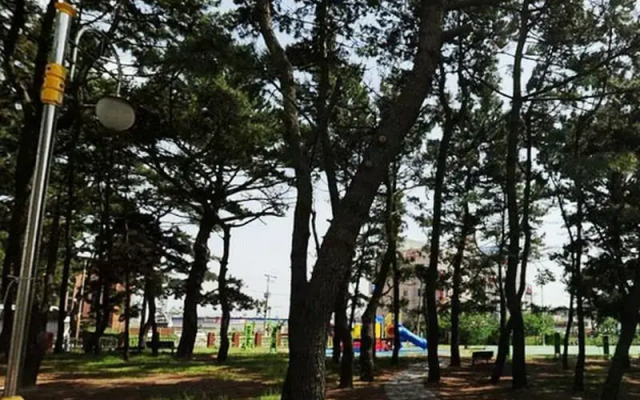 Jinha Hotel & Resort