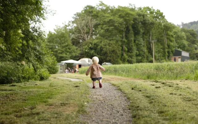 Wye Glamping