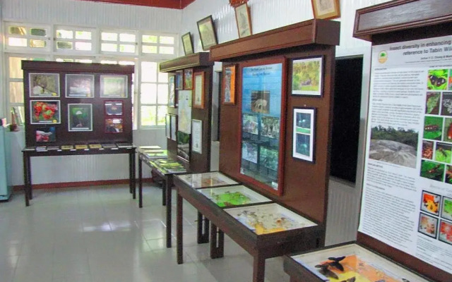 Tabin Wildlife Resort