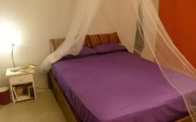 Casita Picaflor