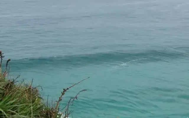 Refugio do Surfista