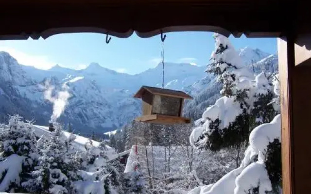 Chalet Berggeist Adelboden Wohnung 1