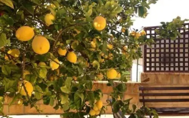 Villa Mara B&B