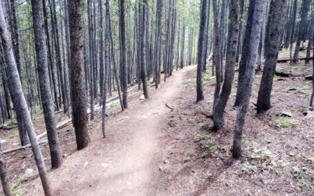 465 Breckenridge Condo #126 by RedAwning