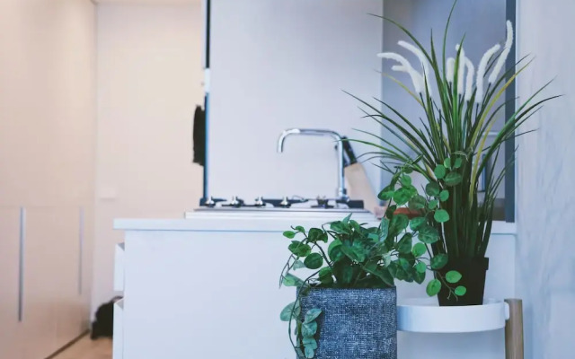 HFN Crown Shadow Play Apartment