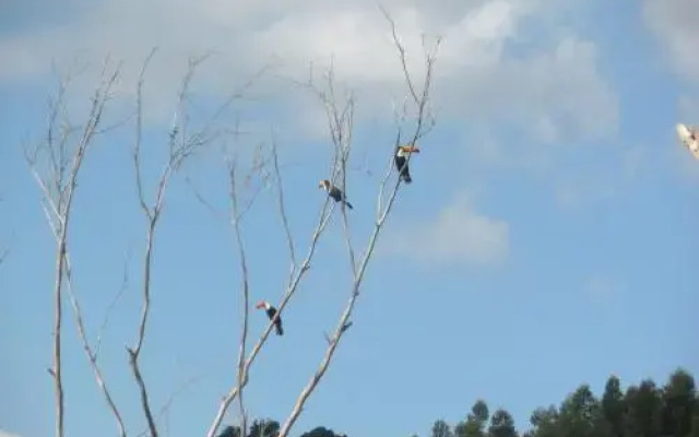 Pousada e Mini Fazenda Vila Davero