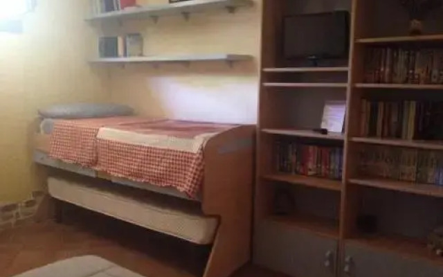 B&B Chorisia