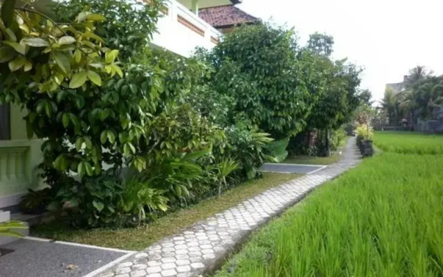 Pondok Manggis