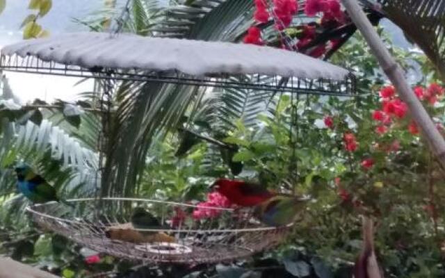 Recanto Ipê Amarelo