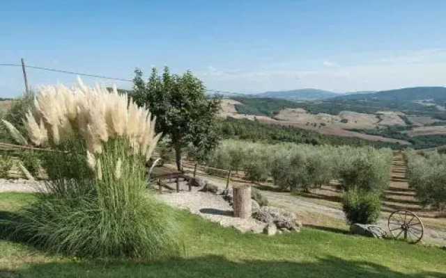 Il Pino