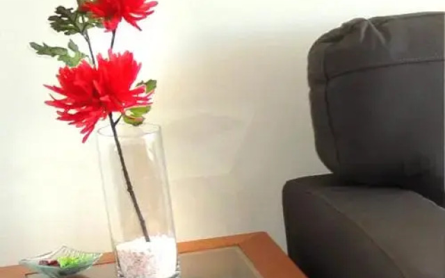 Magnolia Suites Providencia