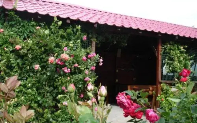 Vila Albatros