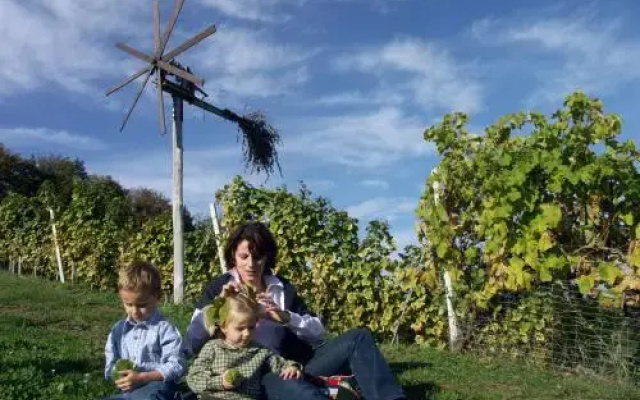 Weingut Gästehaus Otmar Birnstingl