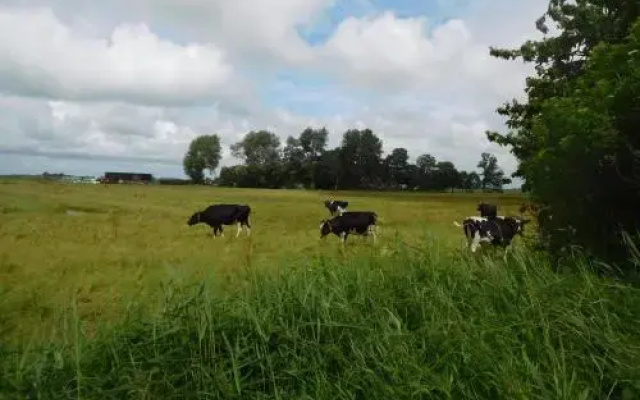 Logementen Jannum