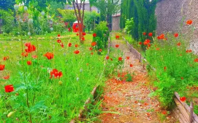 Ameli Garden