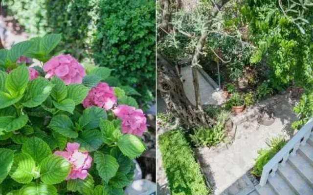 Rooms Garden