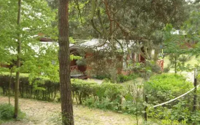 Ośrodek Wypoczynkowy Amber