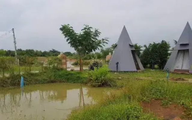 Diamond Camp