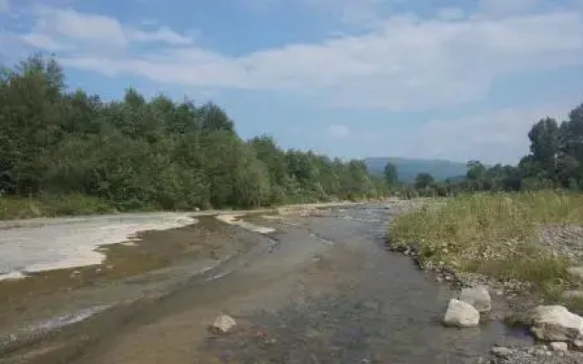 Kozarik