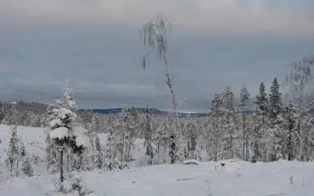 Båtstadsberget Höljes