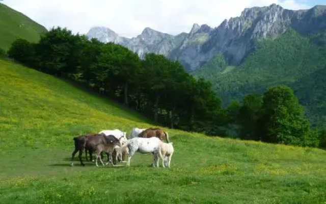 Chalet des Ecuyers