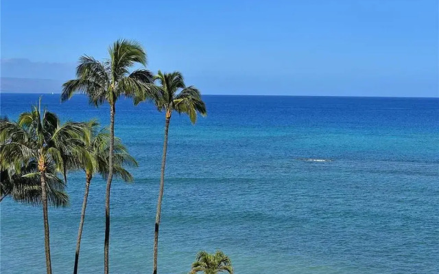 Royal Kahana 617 by RedAwning