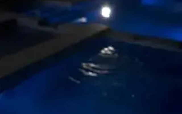 Cabañas Lo de Leo