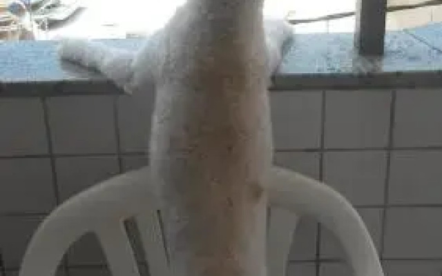 Caribe Brasileiro a 2 passos da areia