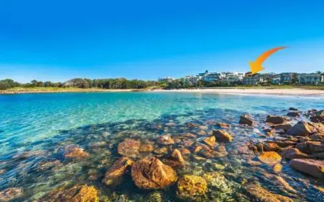 Sails on the Beachfront