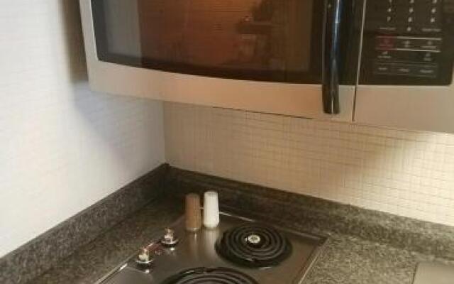 Downtown Gatlinburg Apartment