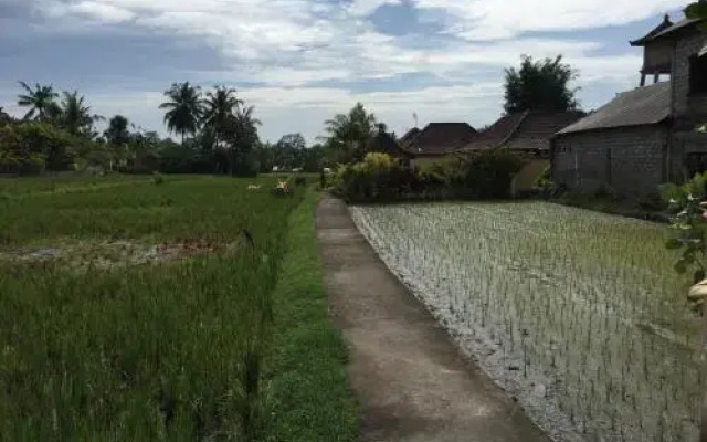 Restu Guest House And Spa