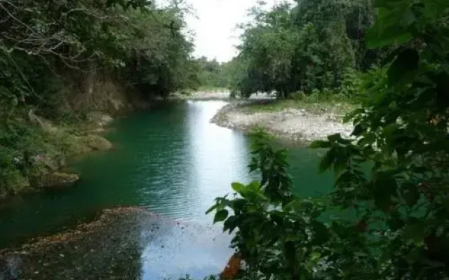 Real Dominican Republic Discovery