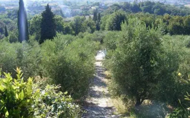 Agriturismo Montalto