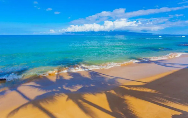 Kaleialoha 211 by RedAwning