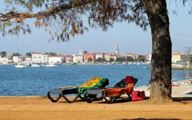 Spacious new app for 5 persons, close beach&city