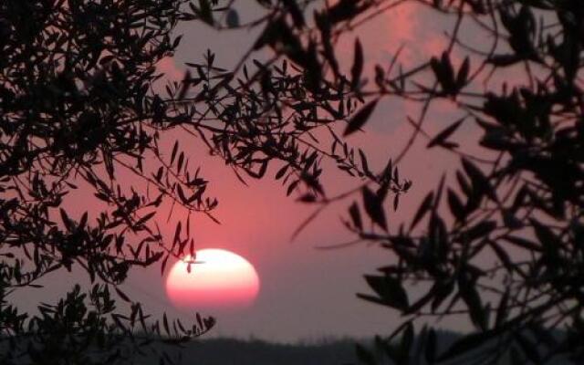 Fattoria di Camporomano