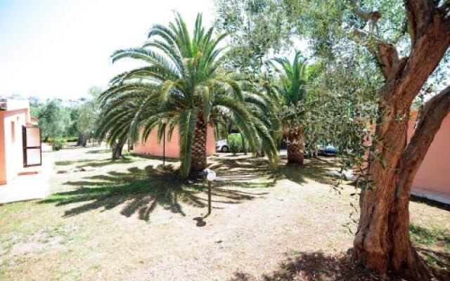 Villaggio Turistico Camping Parco Degli Ulivi